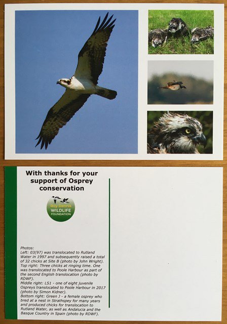 ChrisGPackham tweet picture