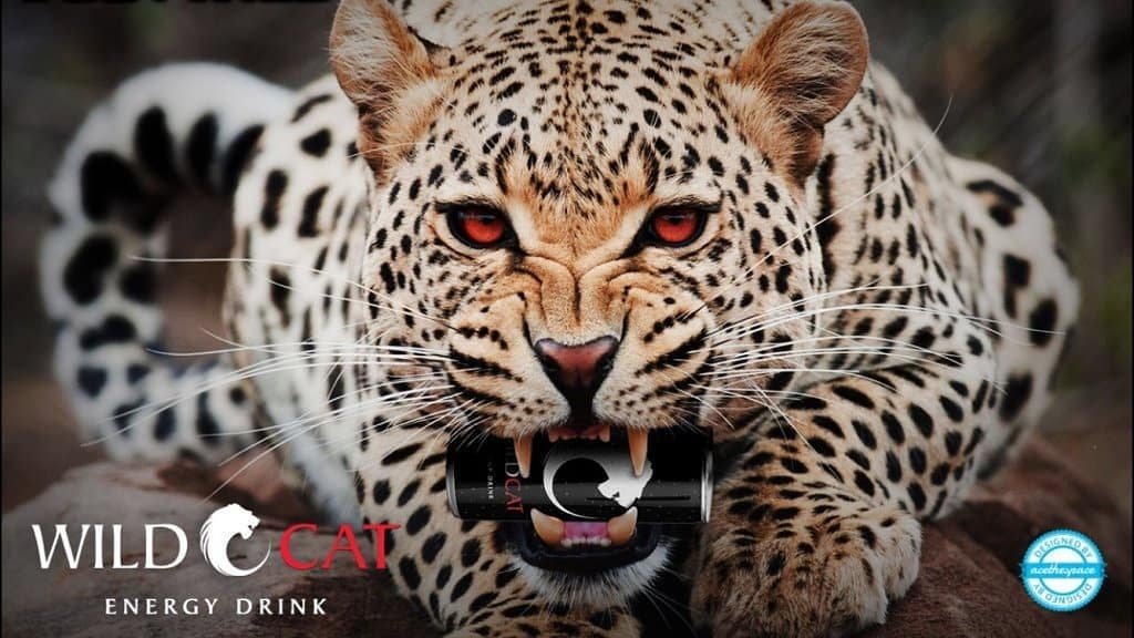 mrnaamofficial's tweet photo. Last call for tonight...where is your wildside? Bluebox S/O @WildCat_Energy 

Follow me | Retweet  | Follow back | Don't Unfollow | #GainWithTrevor | #Trapadrive | #UKFollows | #GainWithBluebox 🇬🇧🇬🇧 https://t.co/o0ArC1MHGR