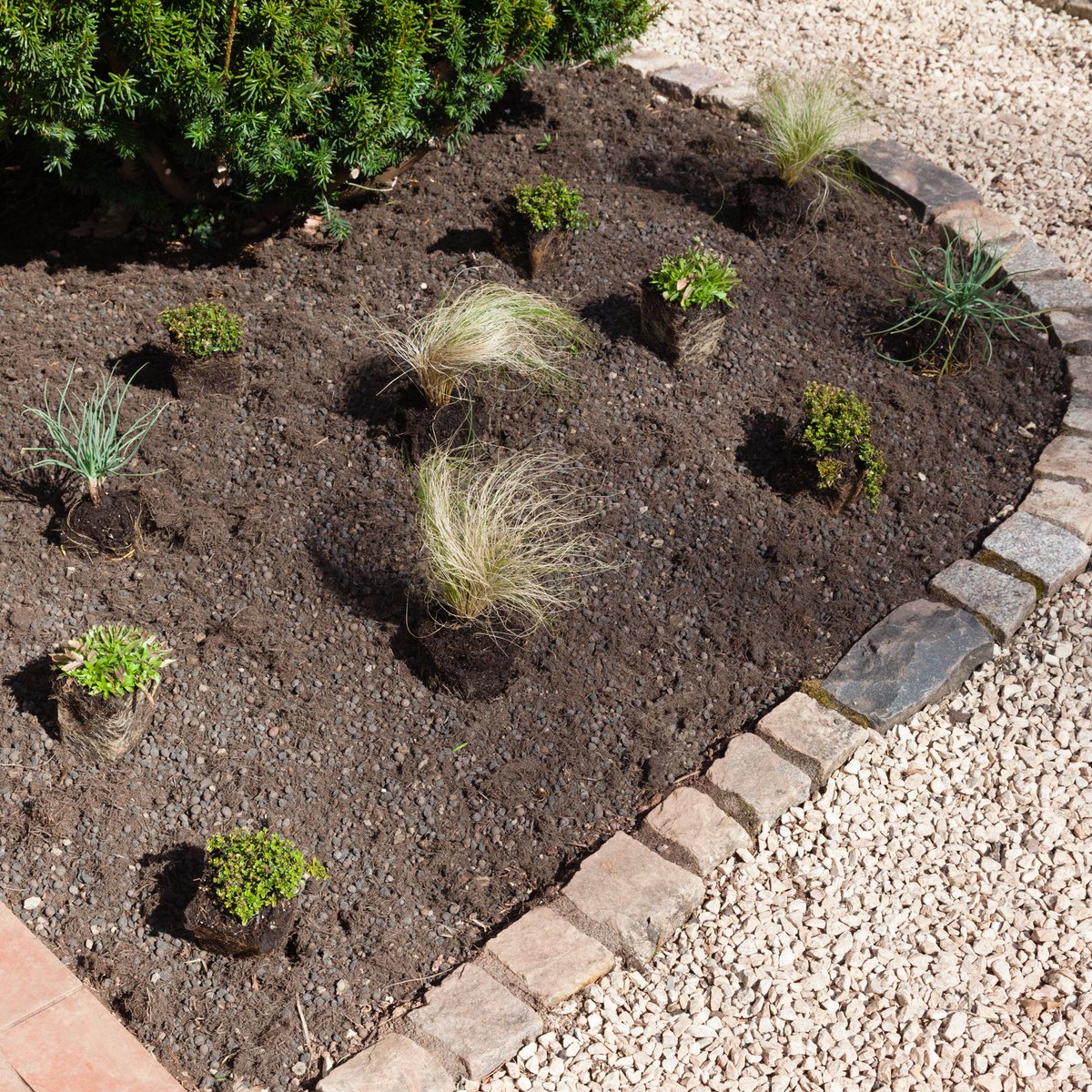 Langhirts Gartenblog Twitterren Der Kleine Steingarten Prasentiert Sich Im Neuem Gewand Die Dicken Kieselsteine Haben Wir Entfernt Neues Dachgartensubstrat Aufgebracht Neue Stauden Und Graser Gepflanzt Sowie Mit Lavagranulat Abgedeckt Der