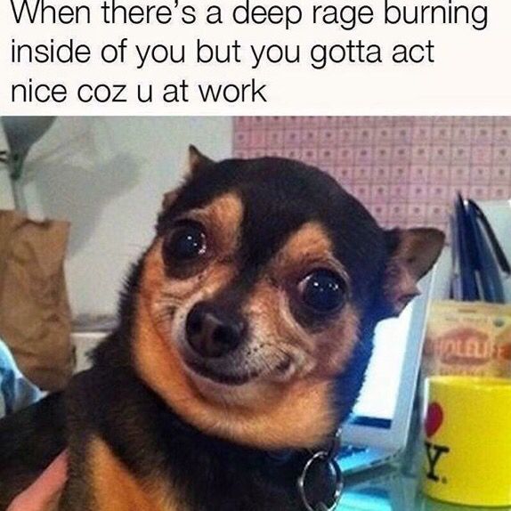 PLZ SEND HELP