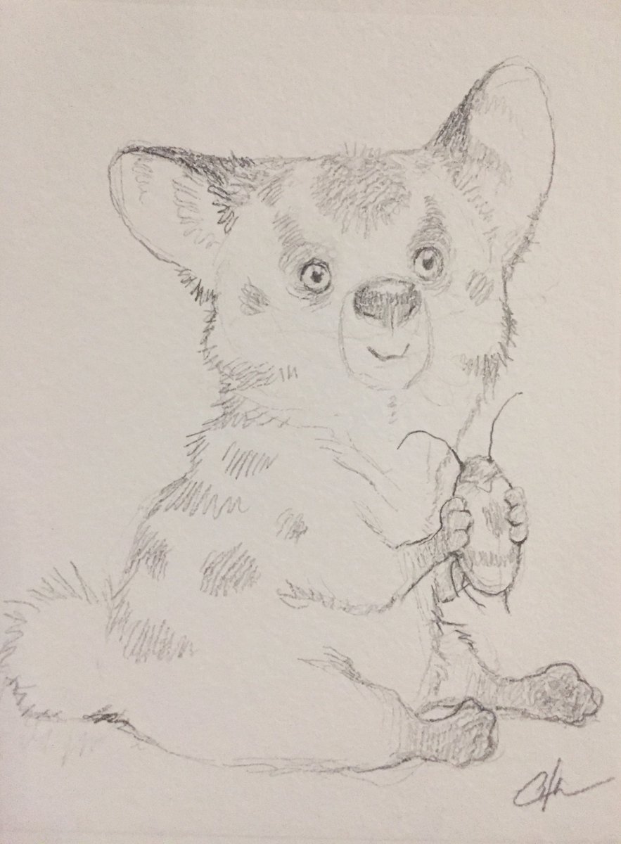 SchoolismLIVE's tweet photo. Happy Sunday! It's not quite bug season yet, but here's a cute illustration from Bobby @digitalbobert ๐#bobbychiu #schoolism #isspringhereyet #snacks #bugs https://t.co/upVE1UfO1P