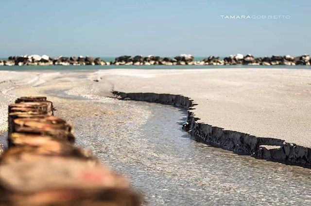 comunerimini's tweet photo. #myrimini #rimini2018 #Repost di @tagphotobox
・・・
#riminibeach #beach #italy #vivorimini #ig_rimini #ig_rimini_ #ig_rimini_riccione #ilmaredinverno #sea #hollidays #travel #myrimini #canon #canonphotography #imcanon #bnw #bnw_emiliaromagna #igersitalia #igersemiliaromagna #e… https://t.co/DtDfWs9eya