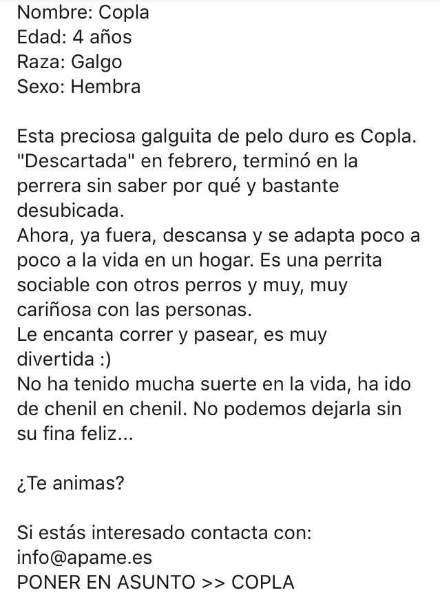 Apame Ayuda Animal Pa Twitter Copla Nocompres Adopta