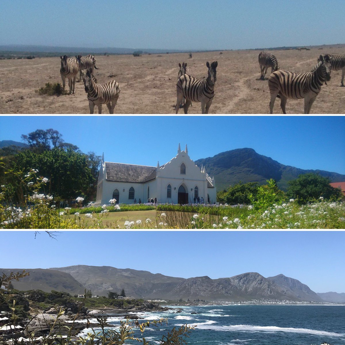 Schitterend Kaapstad &amp; West-Coast #zuidafrika