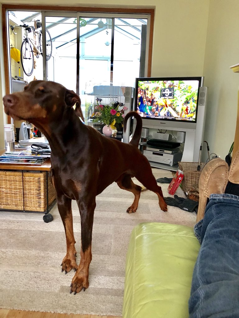 Peteryder's tweet photo. @MotoGP What a farce #tailwagging the dog https://t.co/iG9bP8ENMs