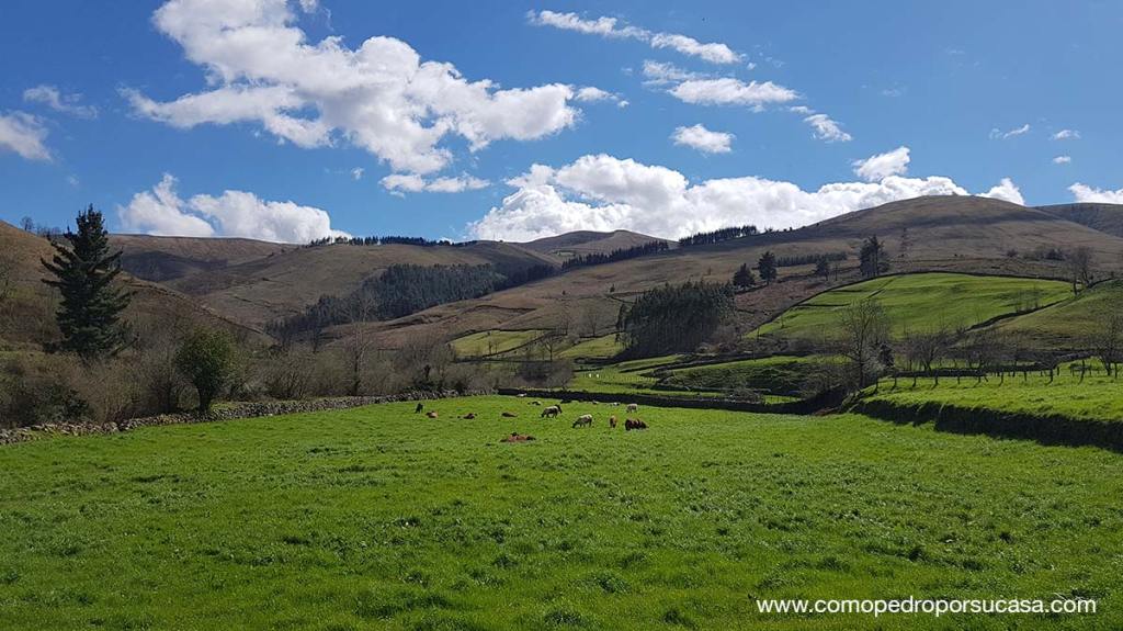 trizia_corral's tweet photo. Ruta en coche por Cantabria: Bosque de Secuoyas, La Fuentona y Carmona https://t.co/TFLIC0urXf https://t.co/7JGD97uH1D