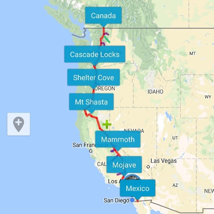 Sebastian Chlan tweet media