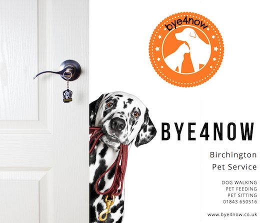 Pet Sitting Service tweet media