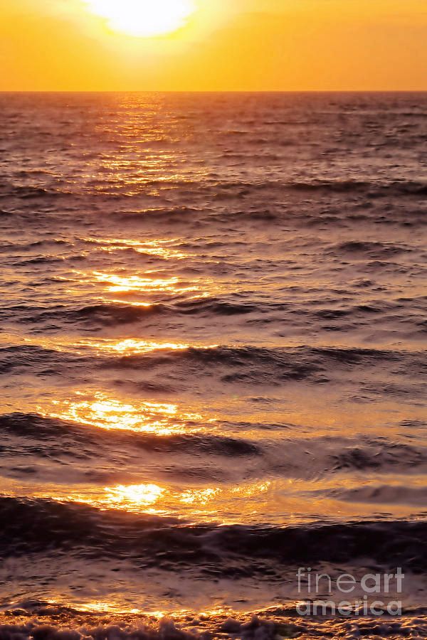 Victork1001's tweet photo. The Golden Sea by Victor K https://t.co/gfbLVxxbBx
#Great #weekend #Mexico #Tropical #paradise #Tropic #beahj #reflections #landscape #nature #sun_light https://t.co/b7cD5mpsRu