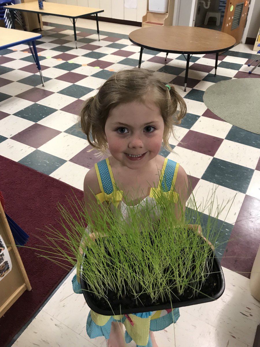 LaurenGoldingMD's tweet photo. E3 showing me the plant she grew at school:
Me: What makes plants grow?
E: Water, sunshine, annnnnd chocolate.
She may not be a herbologist, but #definitelymydaughter https://t.co/1duzZ37sSE