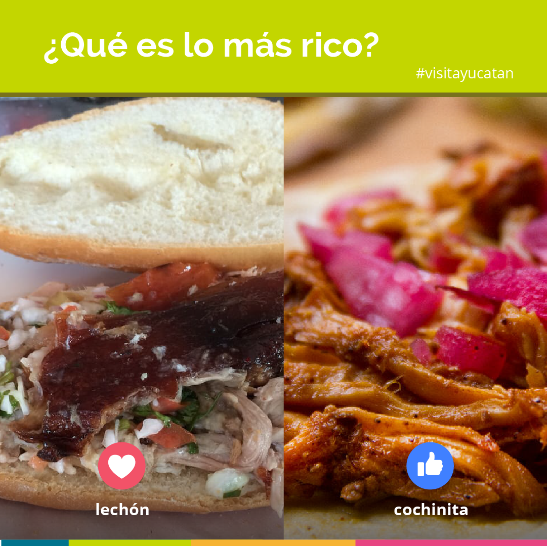 Entremos en debate ¿Cuál es el guisado yucateco más rico? El Lechón o La Cochinita
#Poll #VisitaYucatan