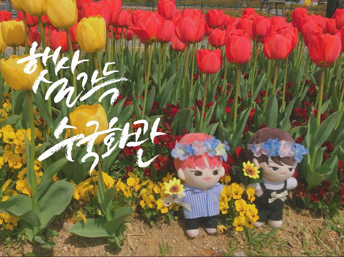 joahanabwa's tweet photo. 🌻이 트윗을 RT 해주신 팔로워 중 5분께 인형용 해바라기를 보내 드립니다. 

🌸인형 화관 판매🌼

화관 별 상세 설명은 타래로 확인해 주세요🌿

✨주문폼✨

#보라보라_장미화관 >> https://t.co/wDPQPrcgJ5

#햇살_가득_수국화관>> https://t.co/hQUPDQ685b https://t.co/1ZDZSjFiI7