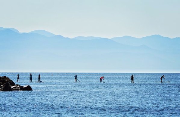supconnect's tweet image. Group paddles in Punta de Mita, Mexico. #supconnect #surftech
📷: Jessica Cichra

Share your photos: supconnect.com/photo-contest-…