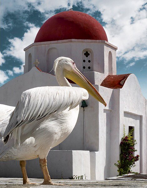 AmaliNYC's tweet photo. Χριστός ἀνέστη! 
Happy Greek Easter! https://t.co/pHNRVnu6kg