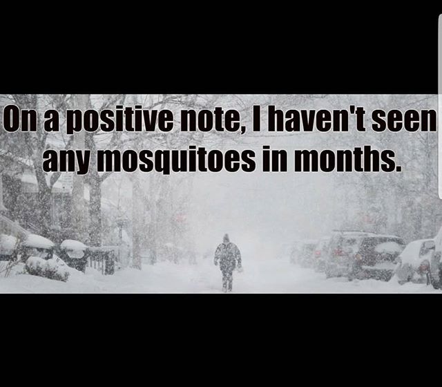 KranksGourmet's tweet photo. I sure hope summer falls on a weekend this year! #winter #calgary #alberta #spring  #stopsnowingalready https://t.co/5cKZPGEnJJ