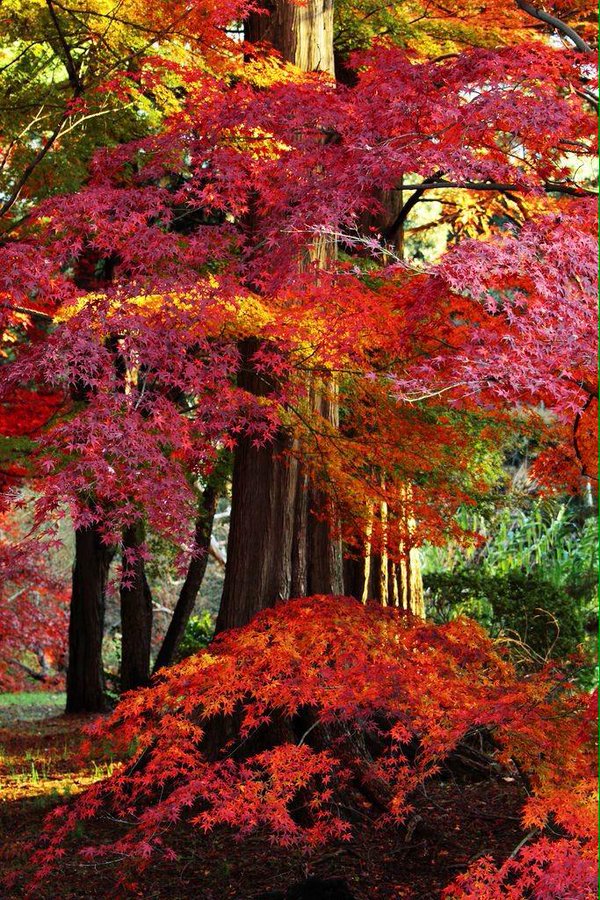 behnami86's tweet photo. سلام دوستان روز خوبی داشته باشید https://t.co/nL7rNY3i2G