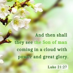 Luke 21:27 And then shall they see the Son of man coming in a cloud with power and great glory.