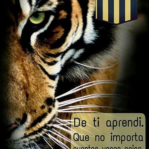 JesusHG34's tweet photo. Felicidades @ClubStrongest los grandes no desendemos
@jhasmani_campos @dtcesarfarias @Pescobar10 @_CESAR_SALINAS @dannyvaca19 @henryvaca10 @31Carcelen https://t.co/ZkNzo5pvNi