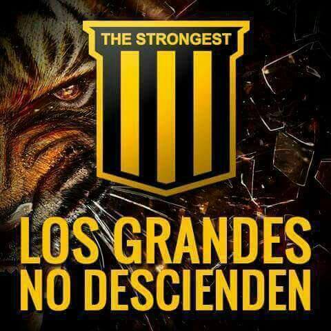 JesusHG34's tweet photo. Felicidades @ClubStrongest los grandes no desendemos
@jhasmani_campos @dtcesarfarias @Pescobar10 @_CESAR_SALINAS @dannyvaca19 @henryvaca10 @31Carcelen https://t.co/ZkNzo5pvNi