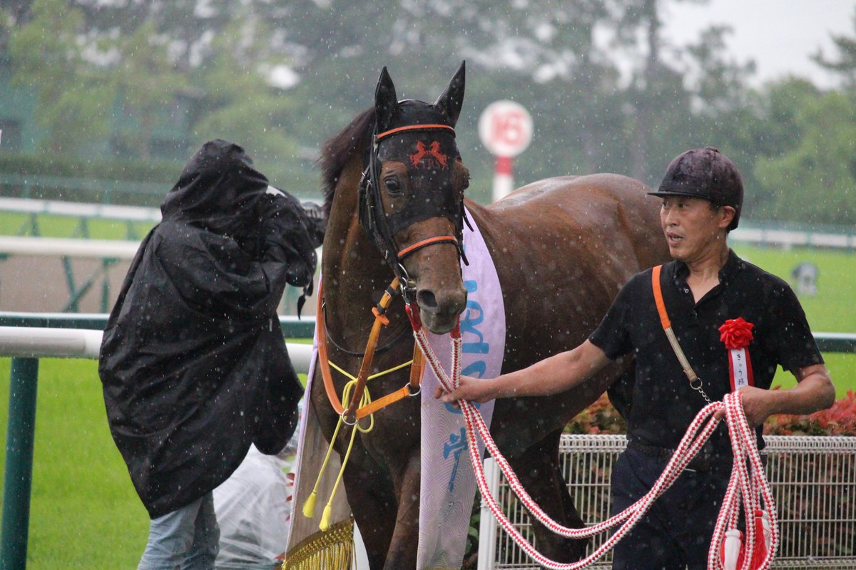 シャイニングレイ