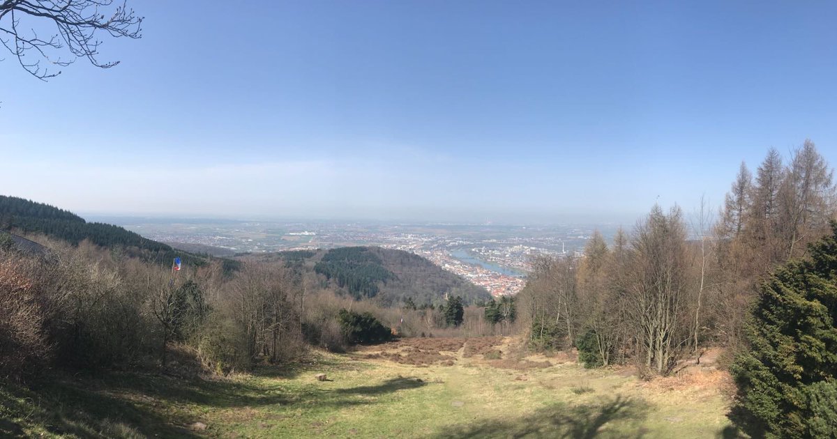 tobykearney's tweet image. Great day out near Heidelberg with the @TheCBSO percs. Now rehearsing for tonight 2nd concert in the Kongresshaus ⛰🤘#achylegs #redfaces
