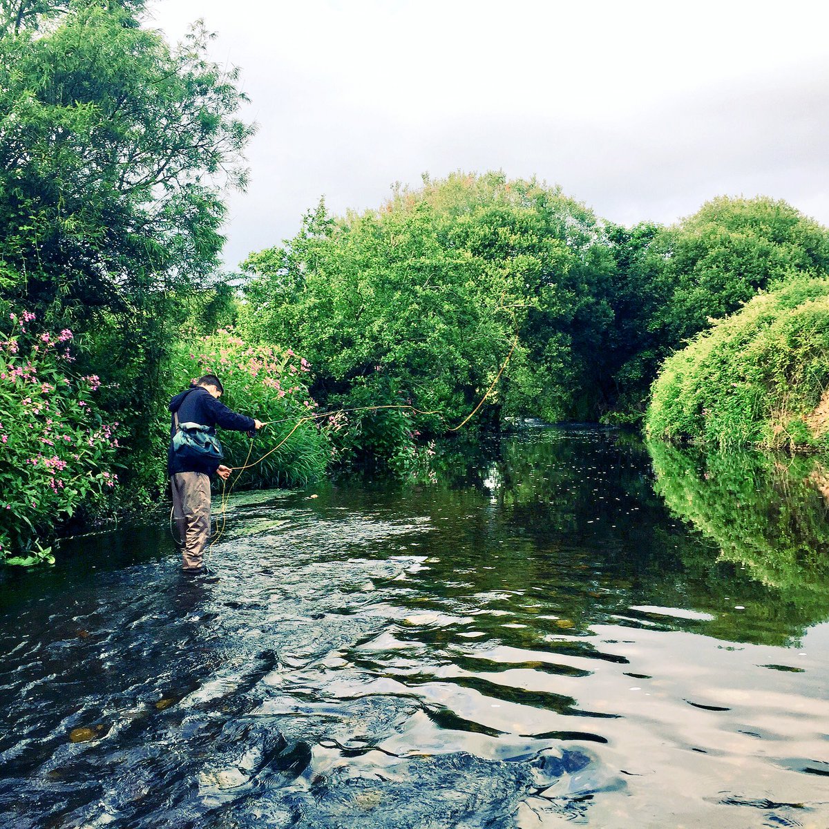 Deer Park Fishery tweet media