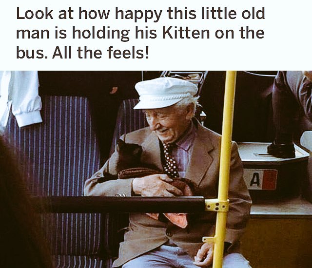 claverackjac's tweet image. #MakingMyDayBetter
#SharingAHappy