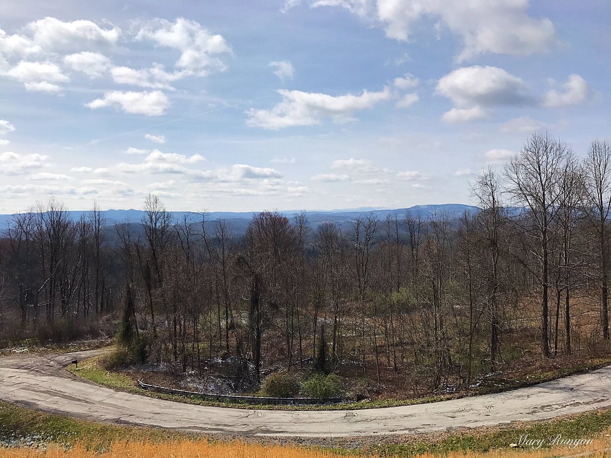 MaryReedRunyon1's tweet photo. #OrbyCantrellHwy #PoundVA @WYMT @AndrewWYMT @brobwx @nwsjacksonky @SpecNewsKY @JimWKYT @ChrisWKYT @Kentuckyweather @AMHQ @weatherchannel @WeatherNation https://t.co/v9zfxgM9f3