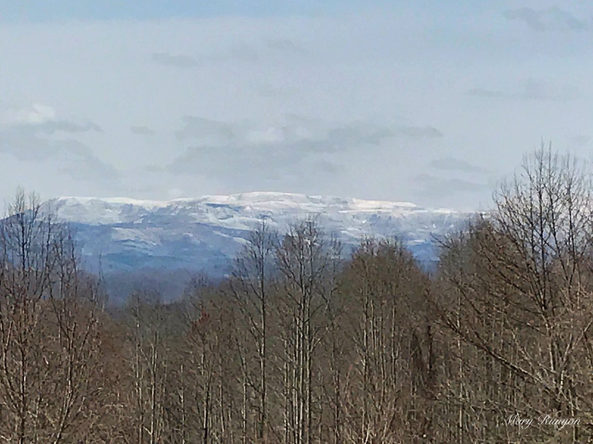 MaryReedRunyon1's tweet photo. #OrbyCantrellHwy #PoundVA @WYMT @AndrewWYMT @brobwx @nwsjacksonky @SpecNewsKY @JimWKYT @ChrisWKYT @Kentuckyweather @AMHQ @weatherchannel @WeatherNation https://t.co/v9zfxgM9f3