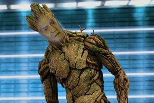 Fer Novato tweet media