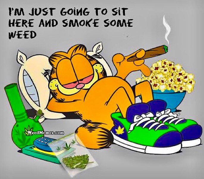 NorCalStoner420's tweet photo. Plans for Today...
#StayLit 🔥🍃 https://t.co/YQ26TeqXM7