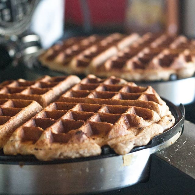Theprimaldesire's tweet photo. When you can't decide between a waffle or Eggs Benny... order both! Are you a breakfast lover?
-
Are you a fan of gluten free waffles? We have a recipe for banana waffles here👉 https://t.co/Uwx5wJZxJ3
-
#brunch #glutenfree #homemade #recipe #theprimal… https://t.co/JdZpIGgJaN https://t.co/OxkbKNGTaK