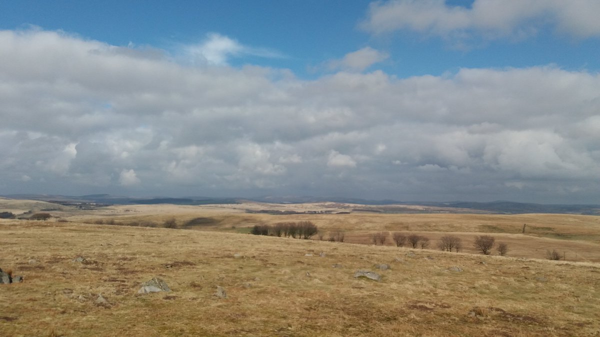 #southhessarytor #dartmoor #sunshineatlast listening to @stereophonics @PopMorrison #happygirl #feelingrelaxed