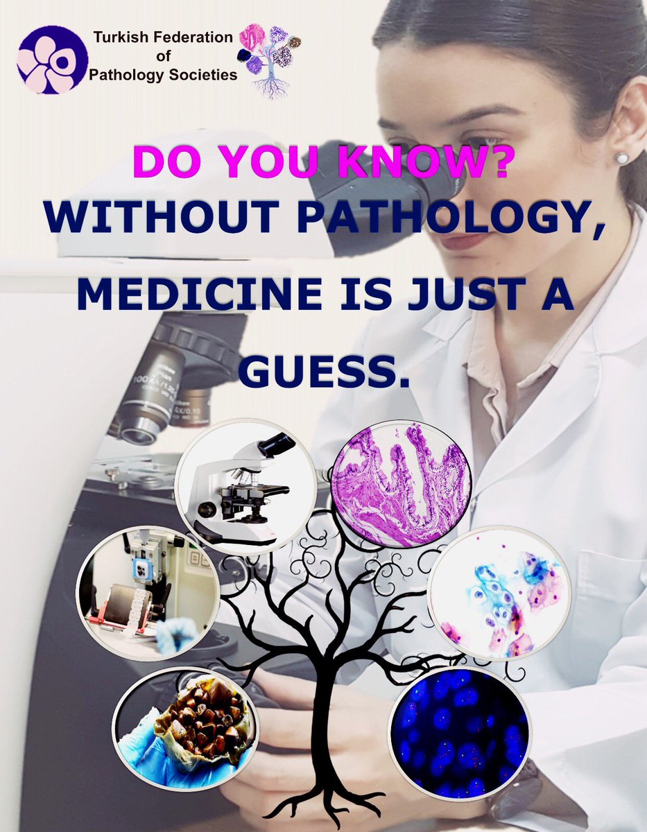 Eylül Gün, MD (@dreylulgun) on Twitter photo Without pathology, medicine is just a guess.🔬Recent banner from our social media group; Turkish Federation of Pathology Societies.
#medicine #pathology #pathologist
<a href="/pembeoltulu/">Pembe Oltulu, MD</a> <a href="/Usubutun/">Alp Usubutun</a> <a href="/ERDENEROZER/">ERDENER OZER</a> @sultan_clskn_dr @Sezin_Hatice <a href="/Yuzde54/">Ibrahim Kulac</a> <a href="/JMGardnerMD/">Jerad Gardner, MD</a> <a href="/smlungpathguy/">Sanjay Mukhopadhyay</a> <a href="/edusqo/">Eduardo Alcaraz, MD PhD</a> Without pathology, medicine is just a guess.🔬Recent banner from our social media group; Turkish Federation of Pathology Societies.
#medicine #pathology #pathologist
<a href="/pembeoltulu/">Pembe Oltulu, MD</a> <a href="/Usubutun/">Alp Usubutun</a> <a href="/ERDENEROZER/">ERDENER OZER</a> @sultan_clskn_dr @Sezin_Hatice <a href="/Yuzde54/">Ibrahim Kulac</a> <a href="/JMGardnerMD/">Jerad Gardner, MD</a> <a href="/smlungpathguy/">Sanjay Mukhopadhyay</a> <a href="/edusqo/">Eduardo Alcaraz, MD PhD</a>