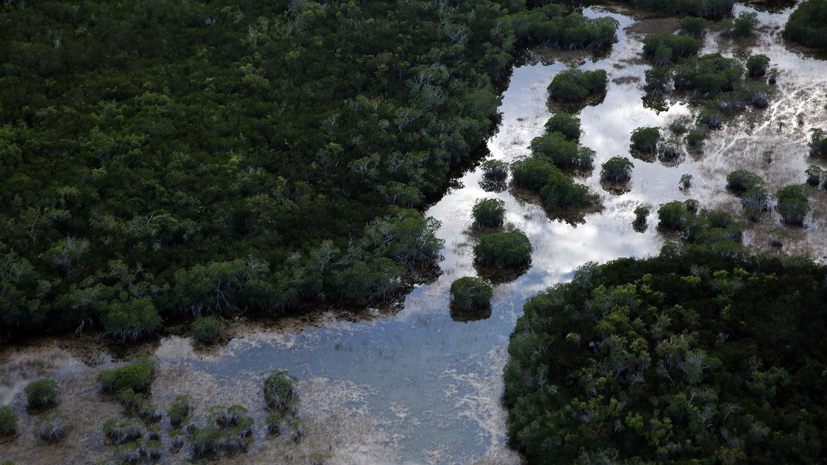 Frequent visitors to Florida state parks could get a prize bit.ly/2IB4FTQ https://t.co/ys3jEASP2x
