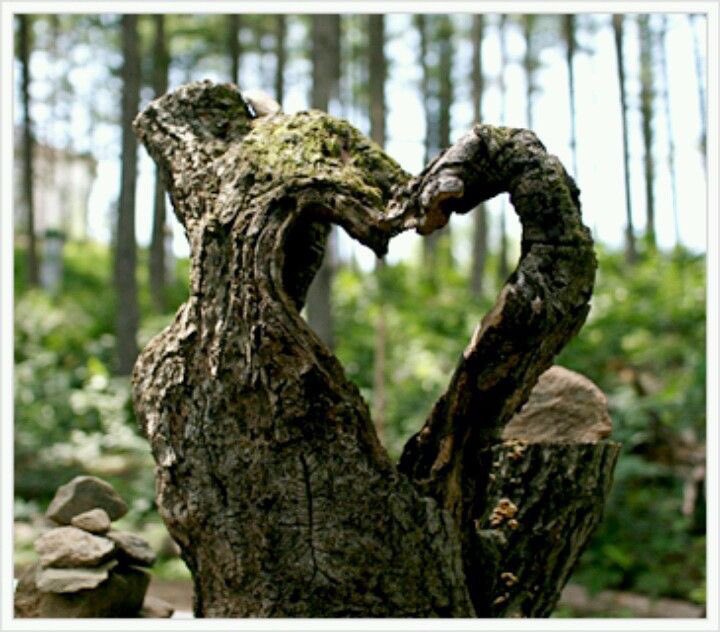 aslan_hitco's tweet photo. https://t.co/OXhcZfSszK