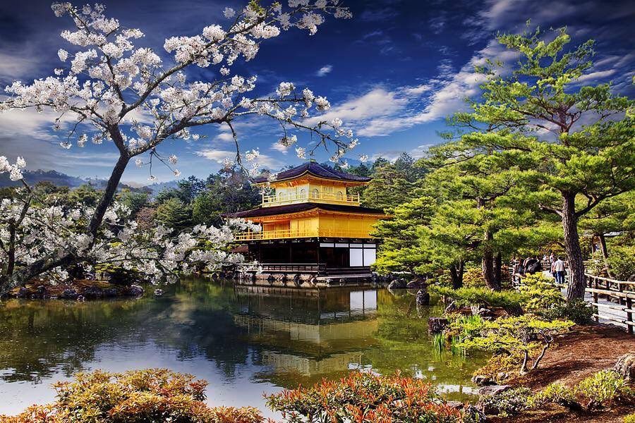 aslan_hitco's tweet photo. https://t.co/ag4x3iYjA5
