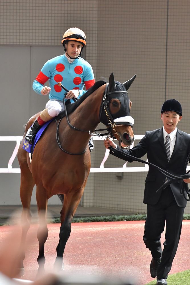 タウ アーモンドアイ 桜花賞 優勝おめでとう はじめましてだったけど とても魅力的な女の子でした アーモンドアイとは 美人とされる顔の目の形 だそうで 名前の通りの美人さんですね またいつか 会える日を楽しみにしています 写真は タウ アーモンドアイ 桜花賞 優勝おめでとう はじめましてだったけど とても魅力的な女の子でした アーモンドアイとは 美人とされる顔の目の形 だそうで 名前の通りの美人さんですね またいつか 会える日を楽しみにしています 写真は