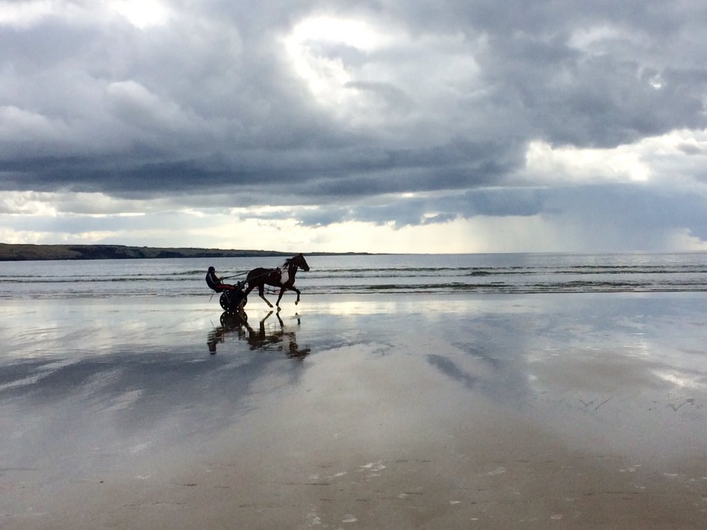ClareCoastH's tweet photo. Enjoy the beauties of Lahinch when staying with us!#atlantichotel #shamrockinn #lehinchlodge #lahinch #WildAtlanticWay https://t.co/RUCT0eHrsB