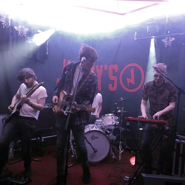 Purple Merlin tweet media