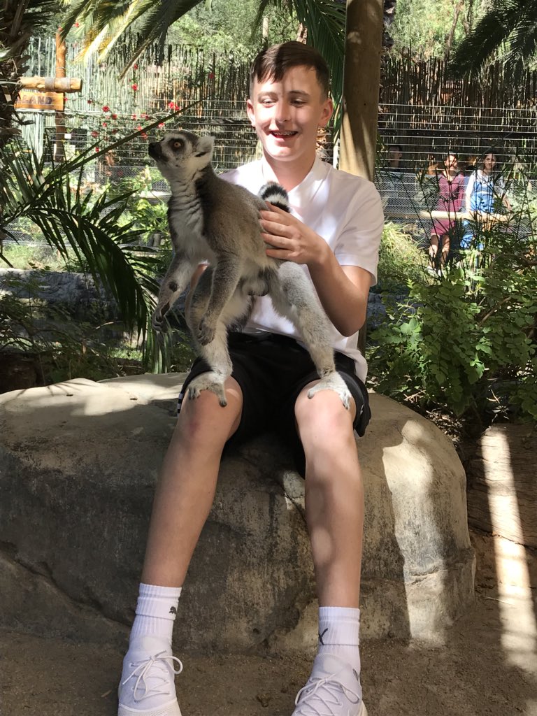 JoaSouth's tweet photo. Day 6: Ostrich farm, wildlife park &amp; caves! #ostrich #lemur #cave https://t.co/8hK9Us06hF