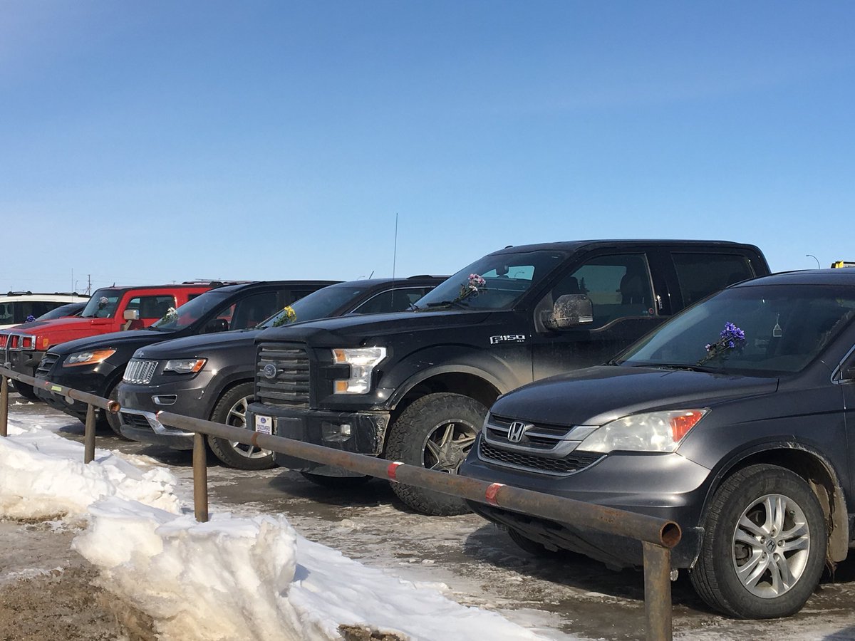 Quinnohler's tweet photo. The players got on the bus here. Many of their vehicles are in the parking lot. Someone has left flowers on each of their windshields. #prayersforhumboldt #broncosstrong https://t.co/WwKoP1QLUV