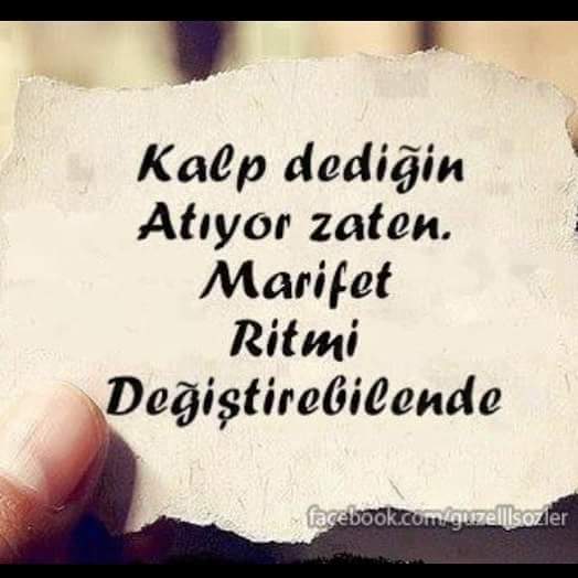 EbruTirolar's tweet photo. https://t.co/8rjxO0IbhC