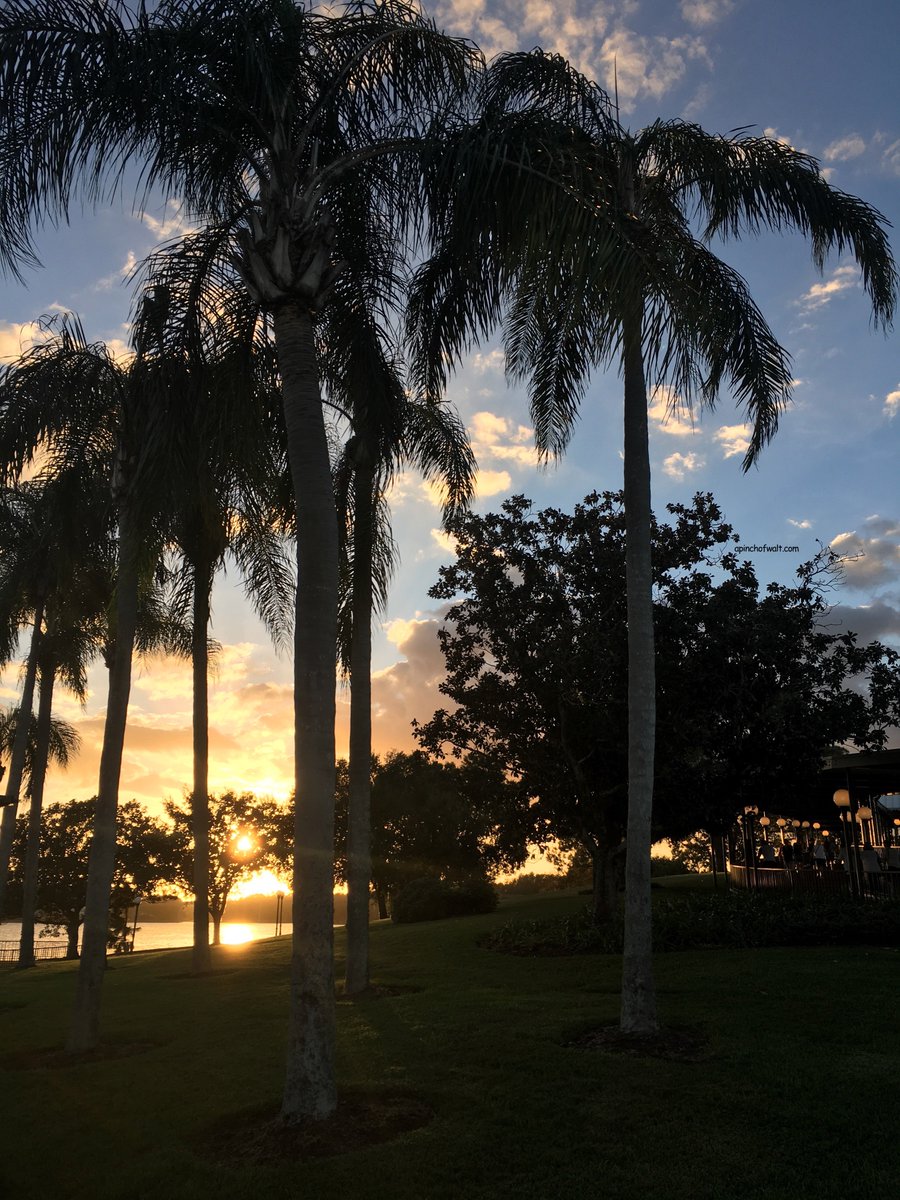 apinchofwalt's tweet photo. Wow! You brightened up my day and you're setting a great evening!

#magickingdom #WaltDisneyWorld  #sunset #FloridaWeather #apinchofwalt https://t.co/jaOZilAfCf