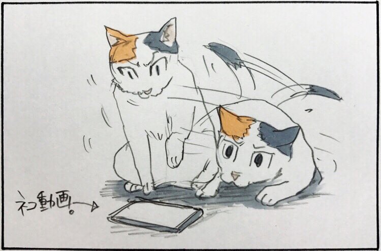 『猫とスマホ』 