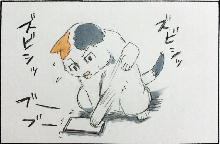 『猫とスマホ』 