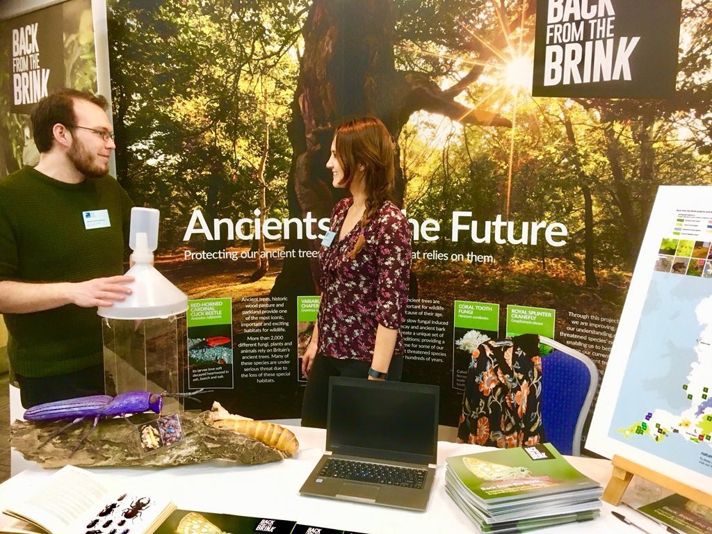 sarahhenshall's tweet photo. Gr8 few days at @Natures_Voice #rspbweekend proud to represent @Buzz_dont_tweet & @NatureBftB on our stand & on the main stage! Huge amount of β€οΈ & support for #BftB programme & the #Ancients so much deadwood & decay loving chat Iβve nearly lost my voice! https://t.co/hEy1knOR4u