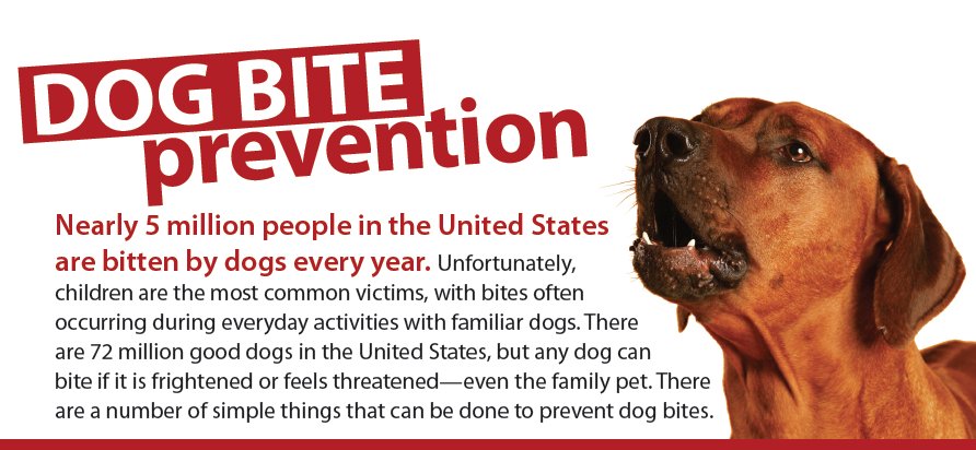 April 8–14 is National Dog Bite Prevention week. Download OVMA's educational handout to teach your clients about dog bite prevention and what to do if they do get bitten. ow.ly/SynQ30jm1ao #preventdogbites