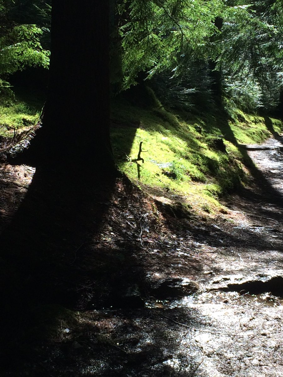 cossar37's tweet photo. Finally found the real Stick Man #juliadonaldson#stickman#pucksglen#argyle https://t.co/OEmt4dHu9p