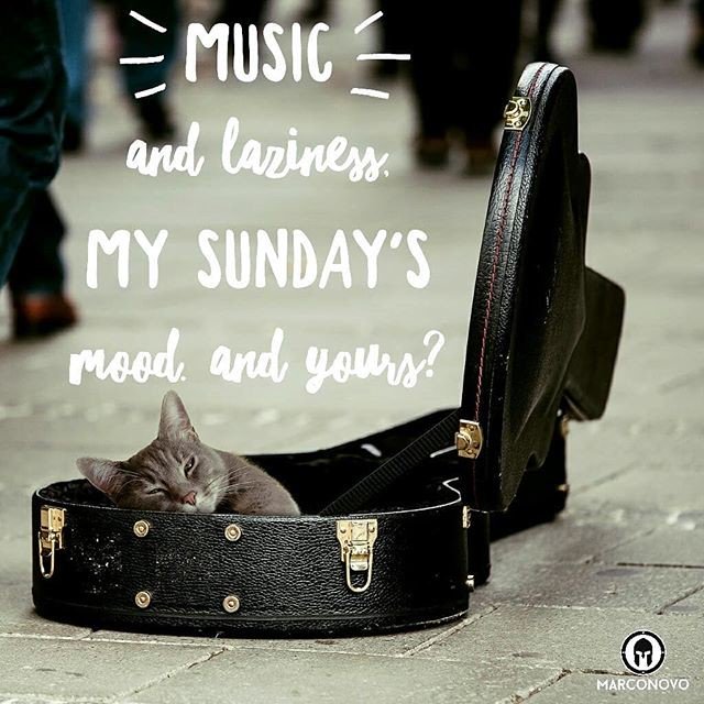 Reposting @mfcnovo:
My mood for today.👂🎼📻💆
And yours? Let me know on comments.
Have a nice #Sunday. 💪👍
.
.
.
.
.
#instainspiration #quote #lazySunday #relax #ocio #descanso #weekend #domingo #marconovo #marconovomkt #hardwork #success #socialmediamarketing #contentmarketing